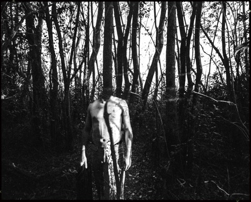 Autoportrait déchiré, 2014
