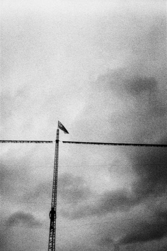 Figure #5, 2012