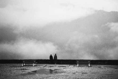 Figure #8, 2012