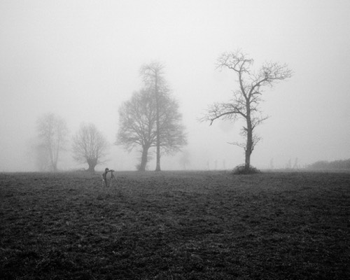 Le photographe #1, 2016