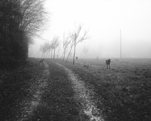 Le photographe #3, 2016