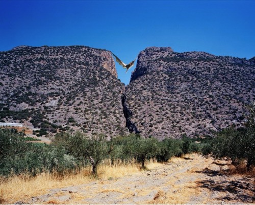 La sieste, 2014