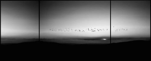 Silence, 2014